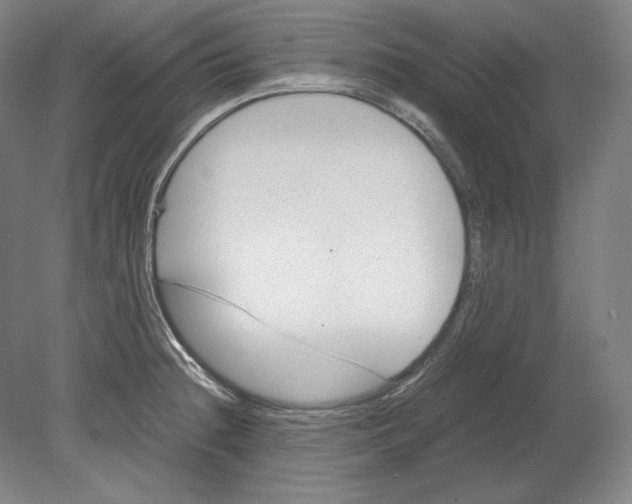 X0000080161236200701051557