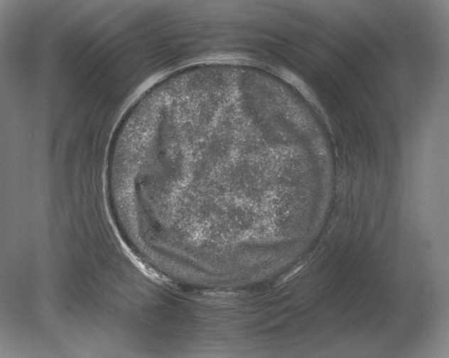 X0000080161237200701051557