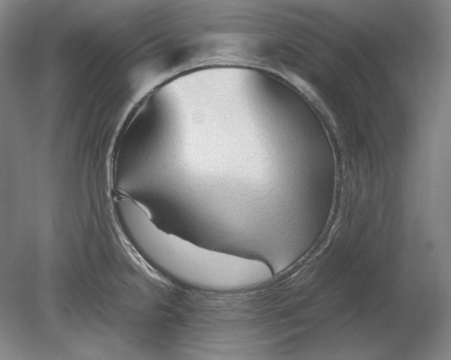 X0000080161238200701051557