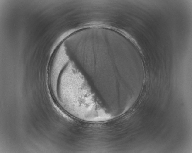 X0000080161239200701051557