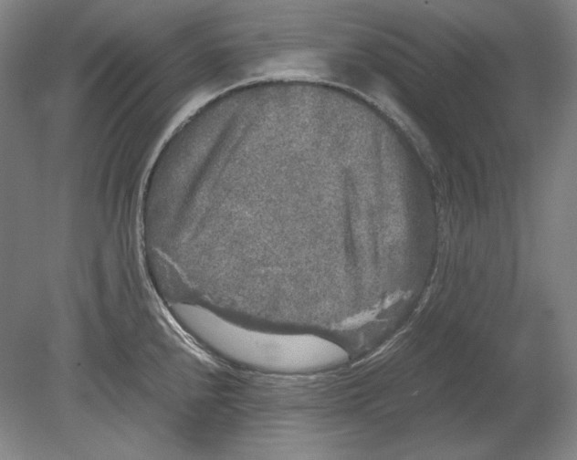 X0000080161240200701051557