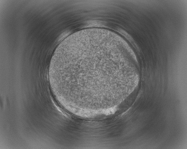 X0000080161241200701051557