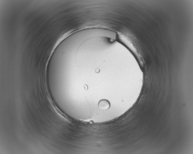 X0000080161242200701051557