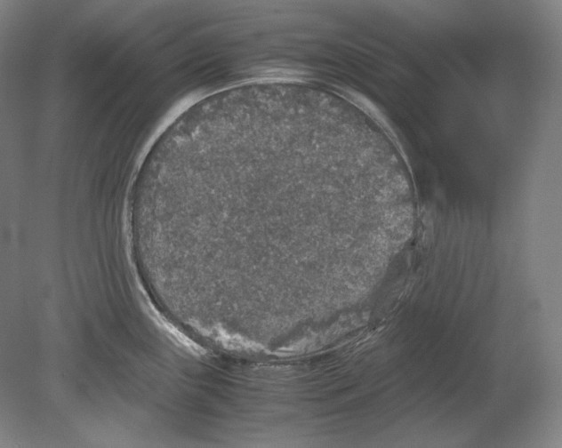 X0000080161243200701051557