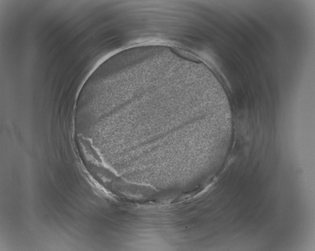 X0000080161244200701051557