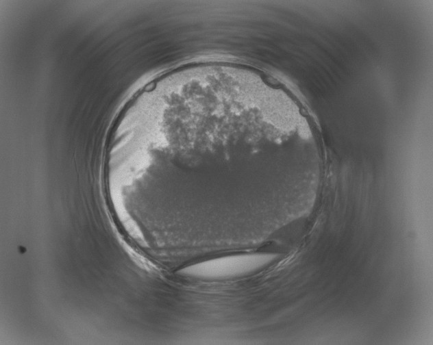 X0000080161245200701051557