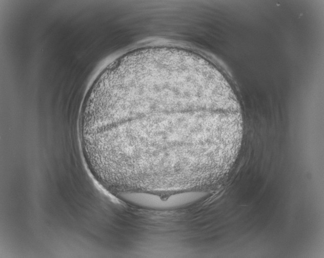 X0000080161247200701051557