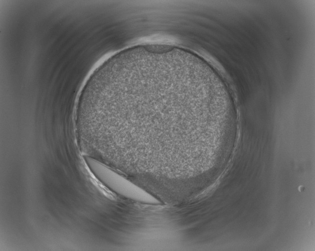 X0000080161248200701051557