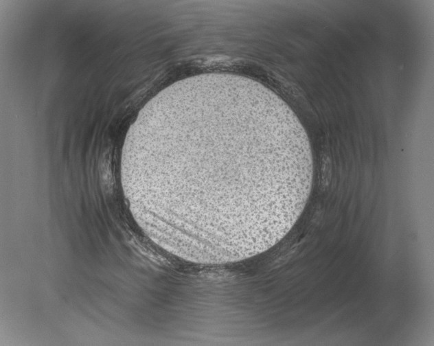 X0000080161250200701051556