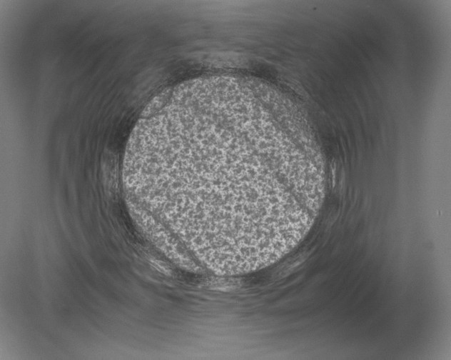 X0000080161251200701051556