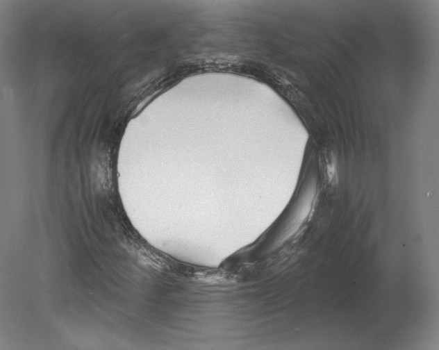 X0000080161252200701051556