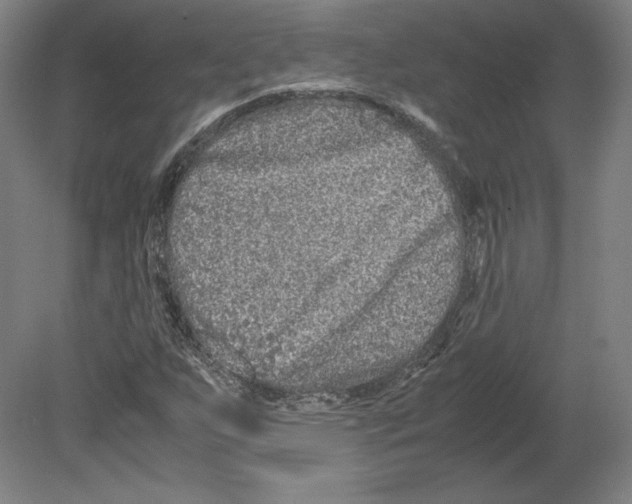 X0000080161255200701051556