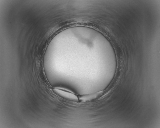 X0000080161257200701051556