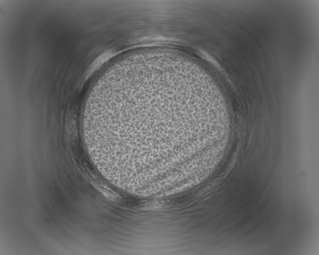 X0000080161259200701051556