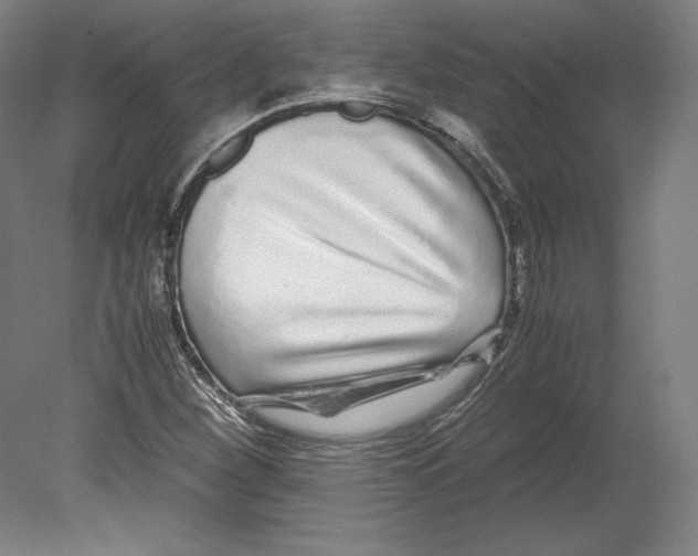 X0000080161260200701051556