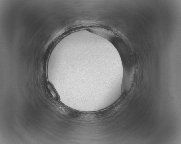 X0000080161261200701051556