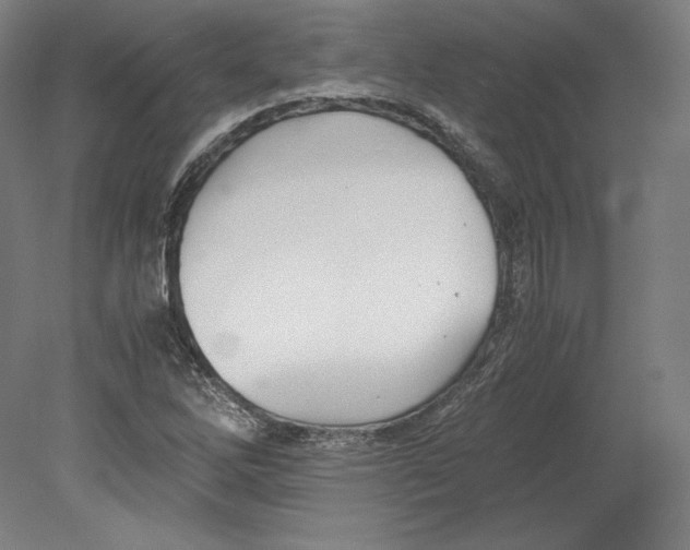 X0000080161262200701051556