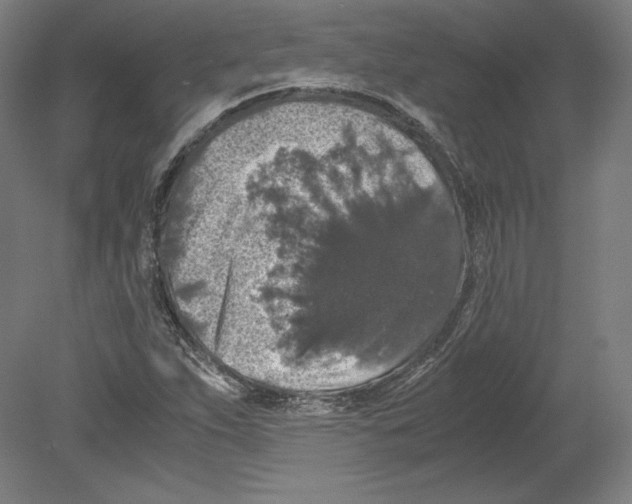 X0000080161263200701051556