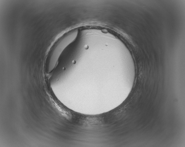 X0000080161264200701051556