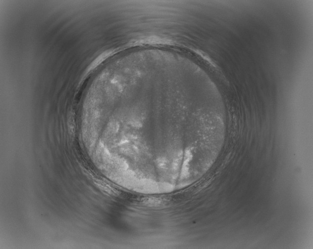 X0000080161266200701051556