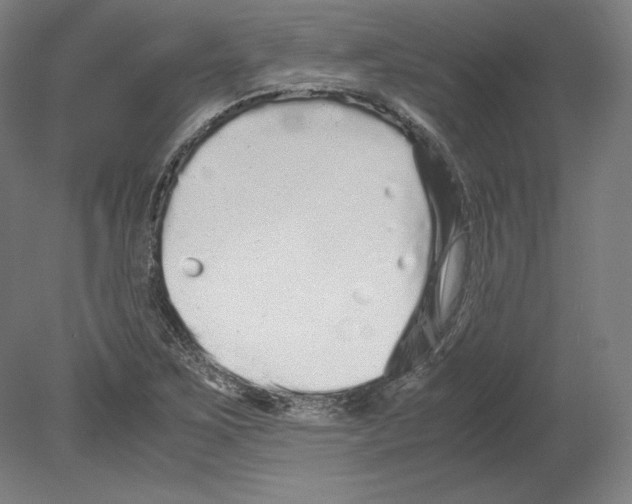 X0000080161267200701051556