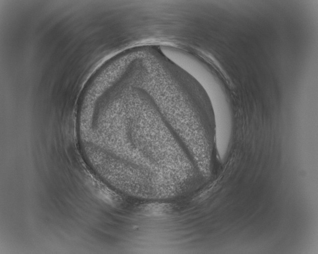 X0000080161268200701051556