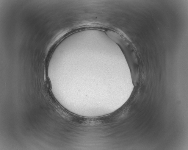 X0000080161269200701051556