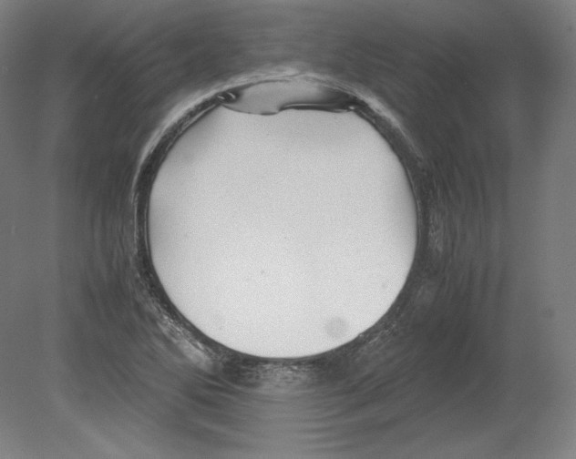 X0000080161270200701051556