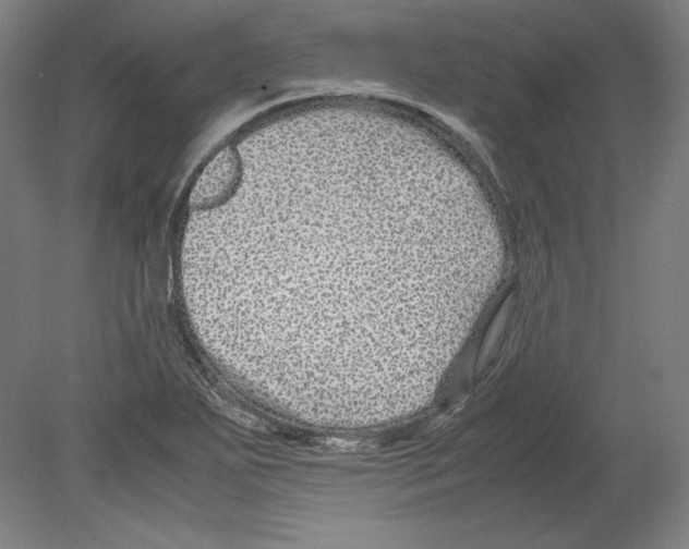 X0000080161271200701051556