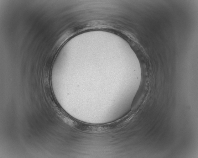 X0000080161273200701051556