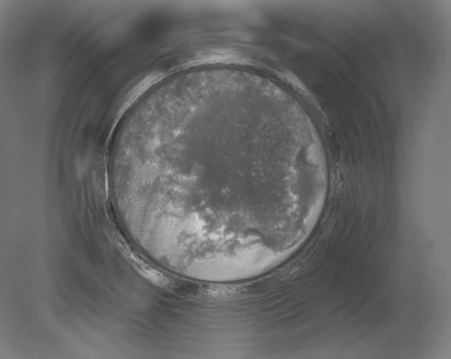 X0000080161274200701051556