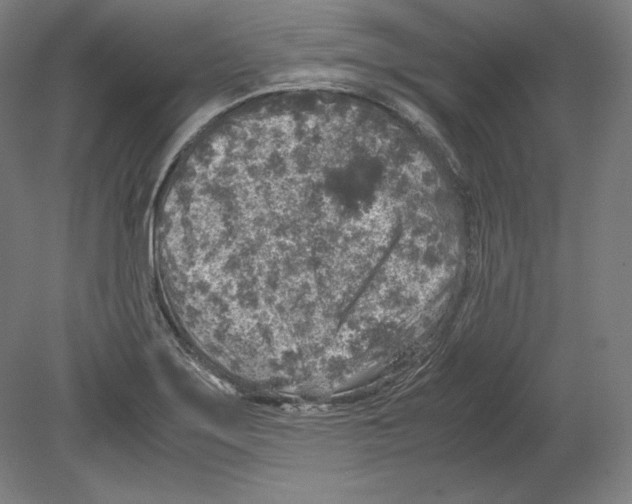 X0000080161275200701051556