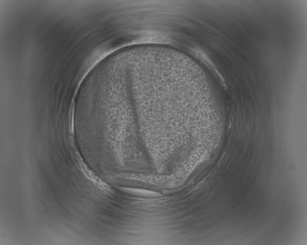 X0000080161276200701051556