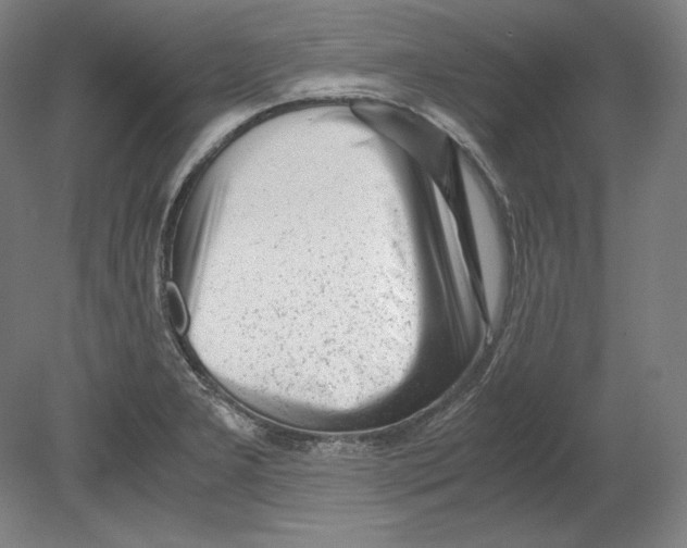 X0000080161277200701051556