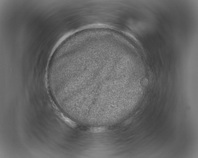 X0000080161278200701051556