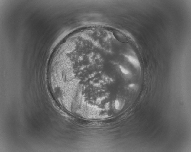 X0000080161279200701051556