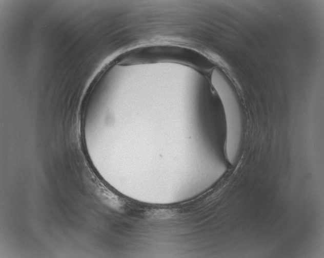 X0000080161280200701051556