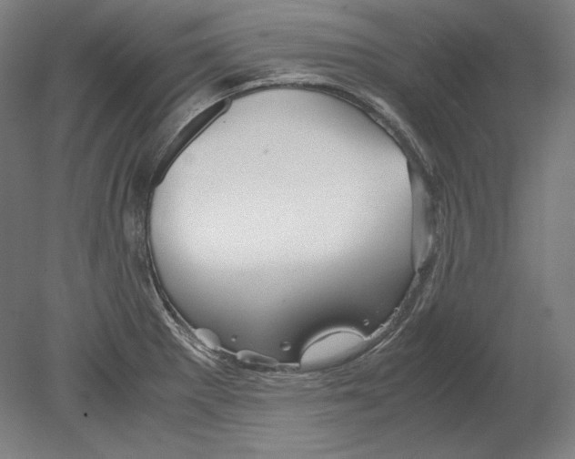 X0000080161281200701051556