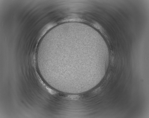 X0000080161282200701051556