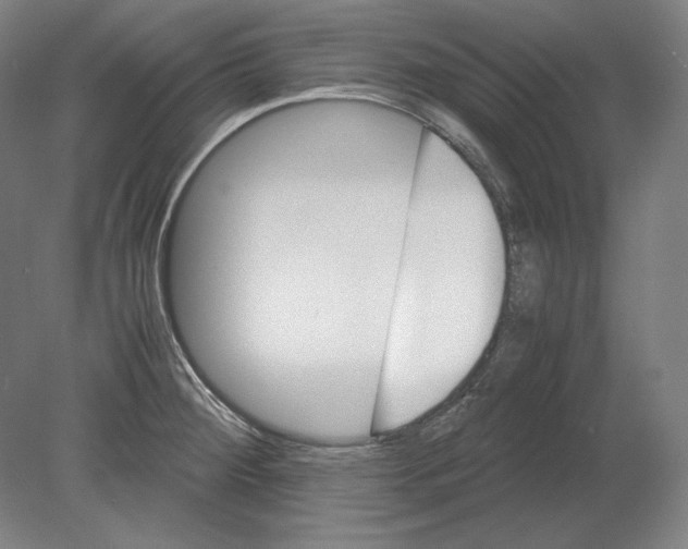 X0000080161284200701051556