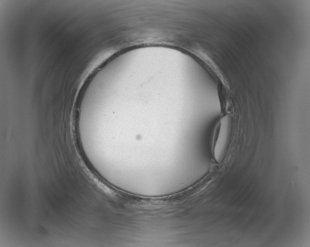 X0000080161285200701051556