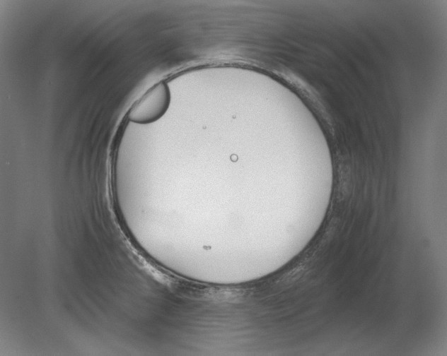 X0000080161286200701051556