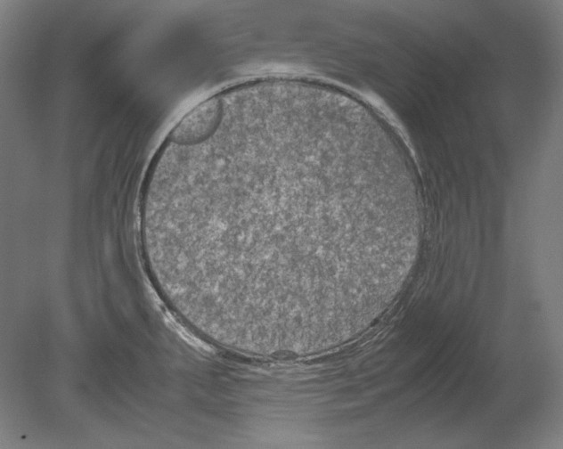 X0000080161287200701051556