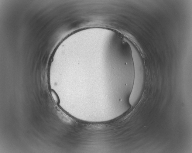 X0000080161288200701051555