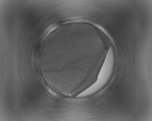 X0000080161289200701051555