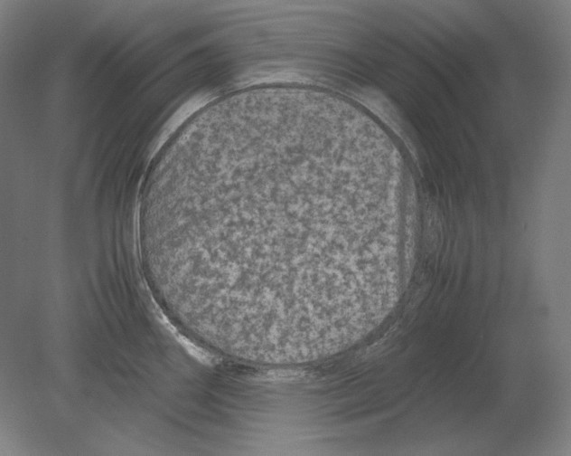 X0000080161290200701051555