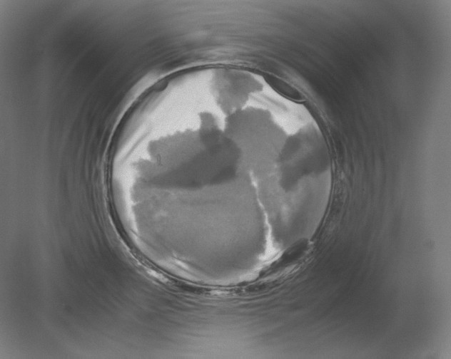 X0000080161291200701051555