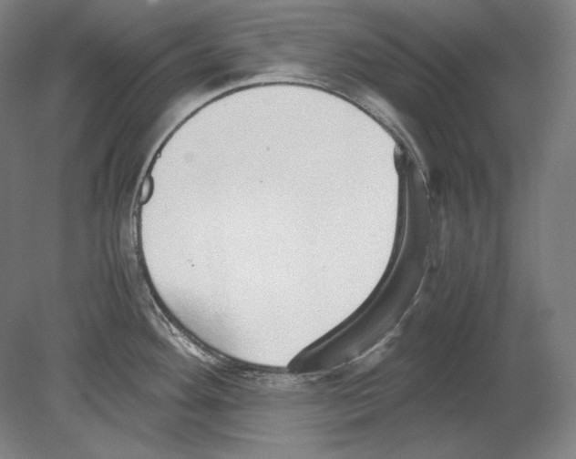 X0000080161292200701051555