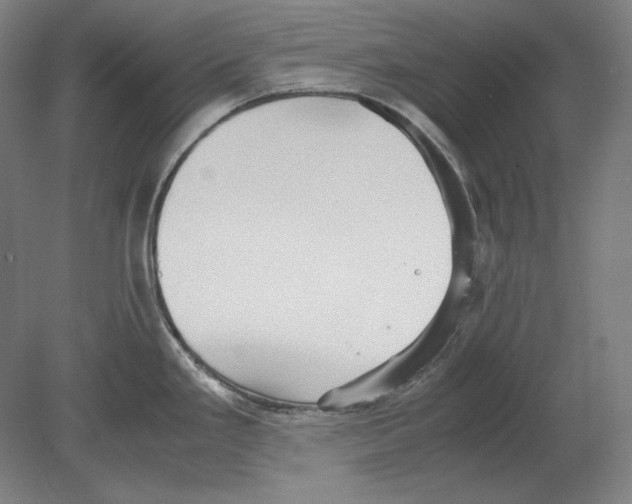 X0000080161293200701051555