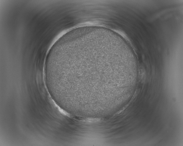 X0000080161294200701051555